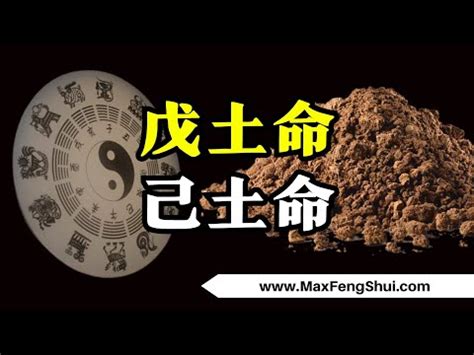 桑松土命意思